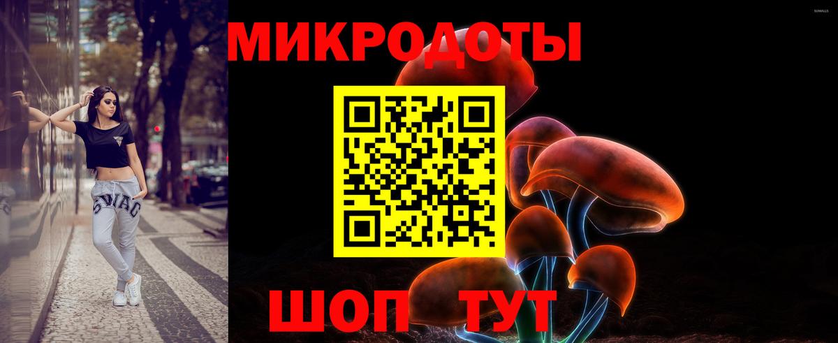 Галлюциногенные грибы Psilocybe Алапаевск